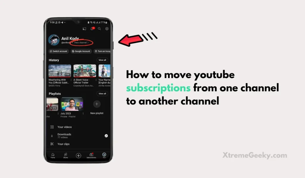 how to import youtube channel subscriptions